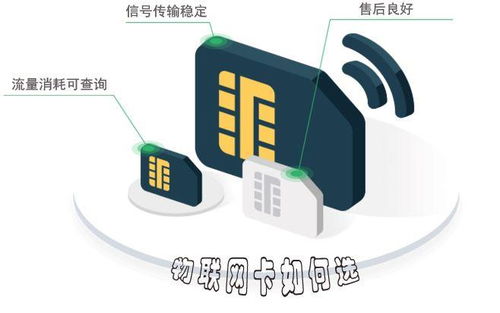 智能交通物联网 优质服务与技术服务双轮驱动的行业标杆