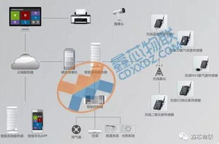 智能畜牧 农业物联网如何引领畜禽养殖走向信息化新时代